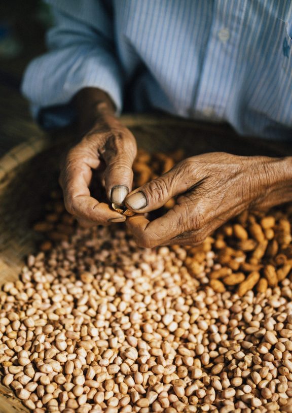 Herbaila’s nuts and seeds are nature’s purest source of energy, hand-selected from trusted local farmers and sustainable growers around the world. Each variety—from crunchy almonds and cashews to nutrient-rich chia and flax seeds—is chosen for its superior freshness, flavor, and quality.