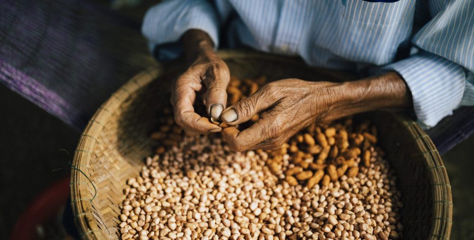 Herbaila’s nuts and seeds are nature’s purest source of energy, hand-selected from trusted local farmers and sustainable growers around the world. Each variety—from crunchy almonds and cashews to nutrient-rich chia and flax seeds—is chosen for its superior freshness, flavor, and quality.